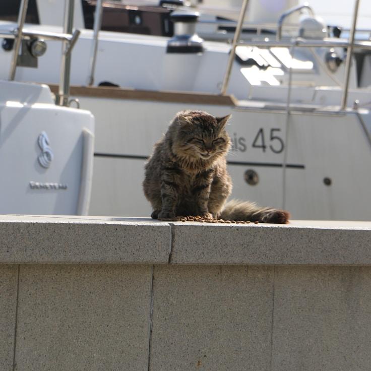 Yachting lifestyle scene